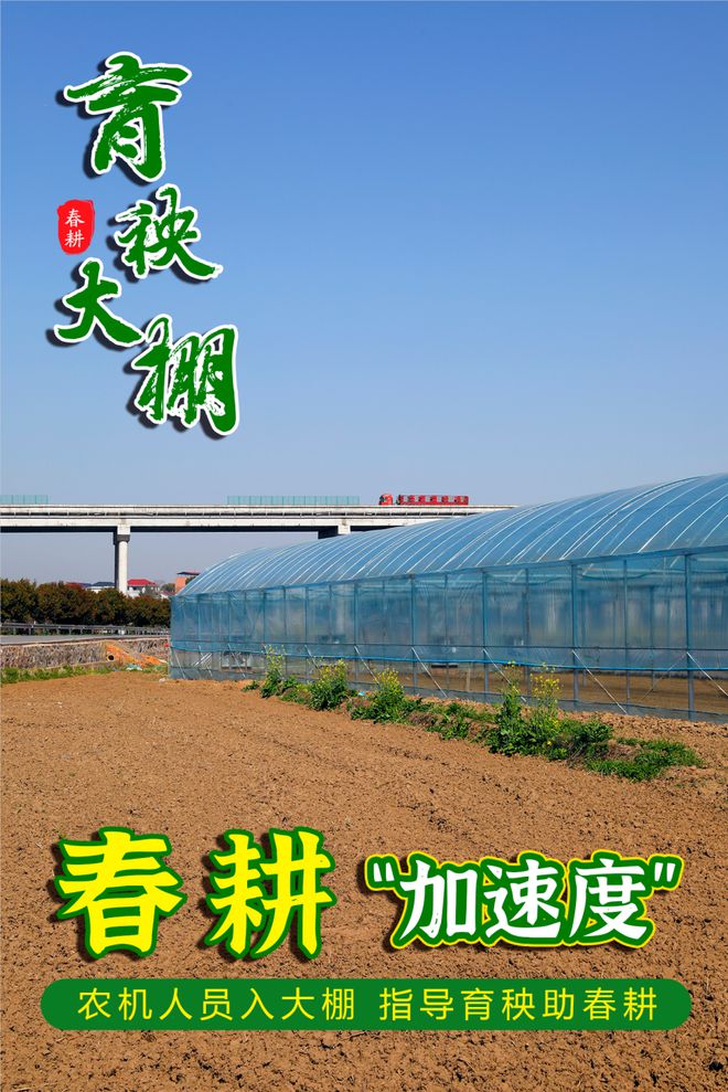 海報丨婁星區農機人員入大棚指導育秧助春耕